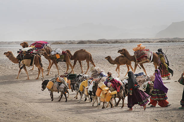 Kuchi with camel
