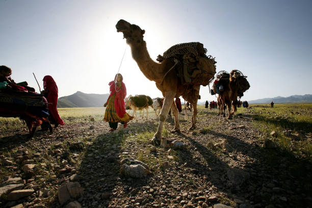 Kuchi woman with camel