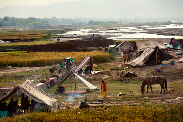 Kuchi tent