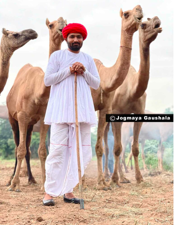 Rabari with camel