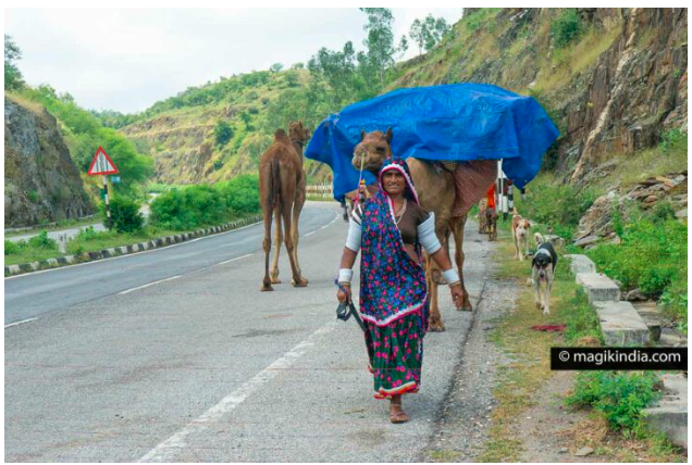 Rabari woman with dang