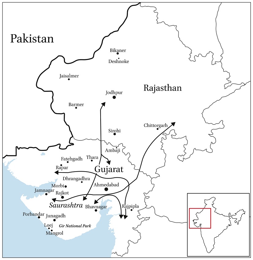 Gujarat to Rajasthan migration