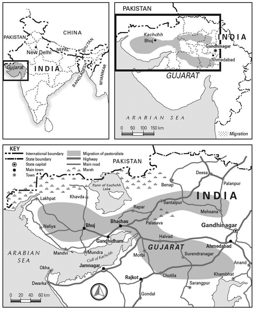 Rabari migration area Gujarat
