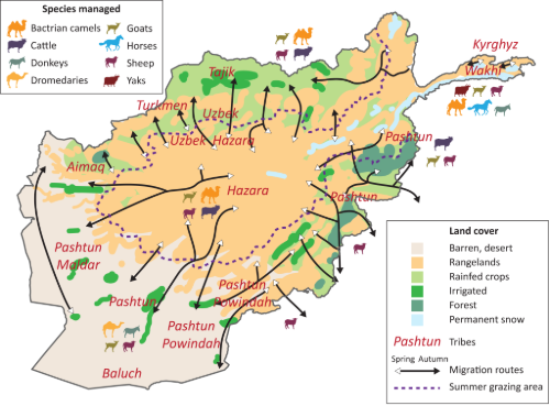 Afghanistan migration