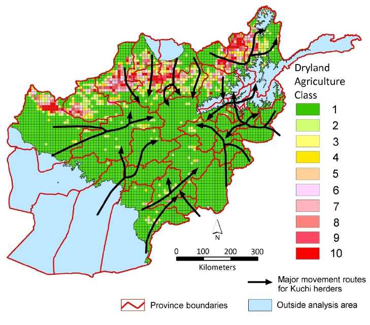 Kuchi livestock migration