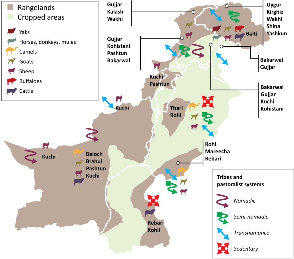 Pakistan pastoral systems